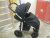 2020-04-09_00023 2020-04-09_00023
